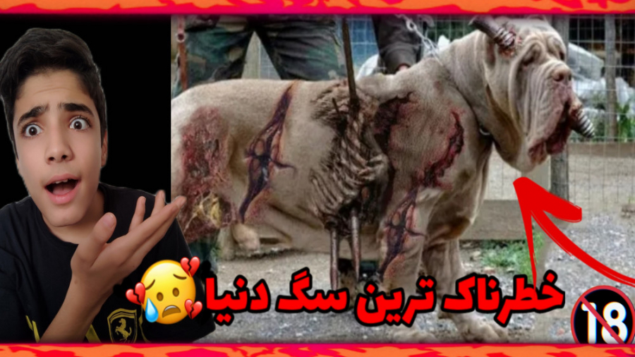 خطرناکترین سگ های دنیا!! | این...