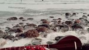 دردا من جوانی را به سر کردم |...