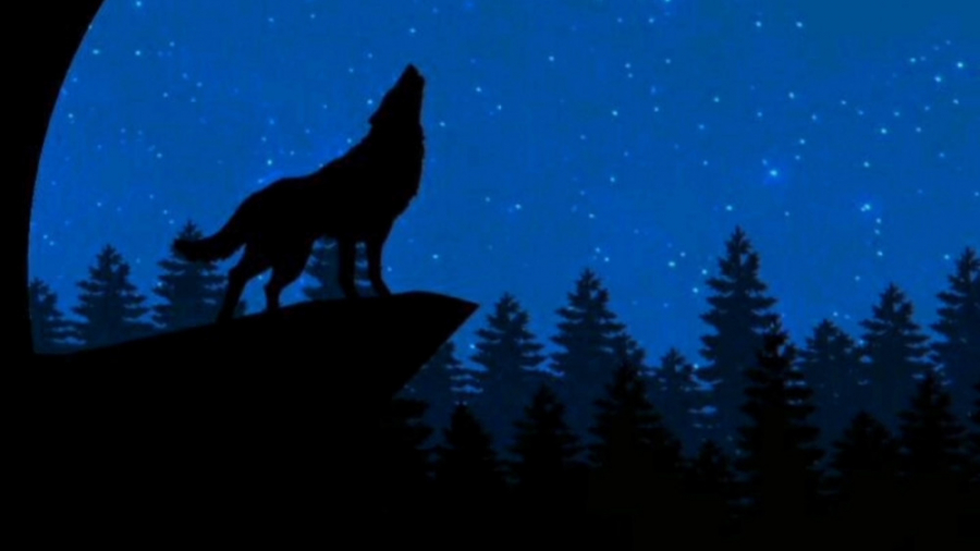 کلیپ فاز سنگین، حرف سنگین، دپ،...