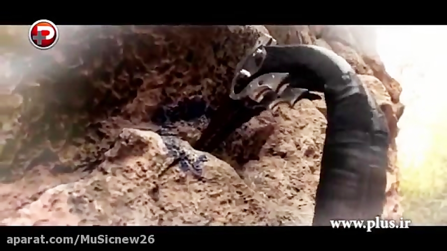 دختر شجاع و نترس به این میگن