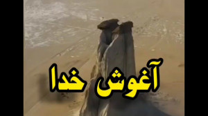 من حیرون تو این روزا هواتو کرد...