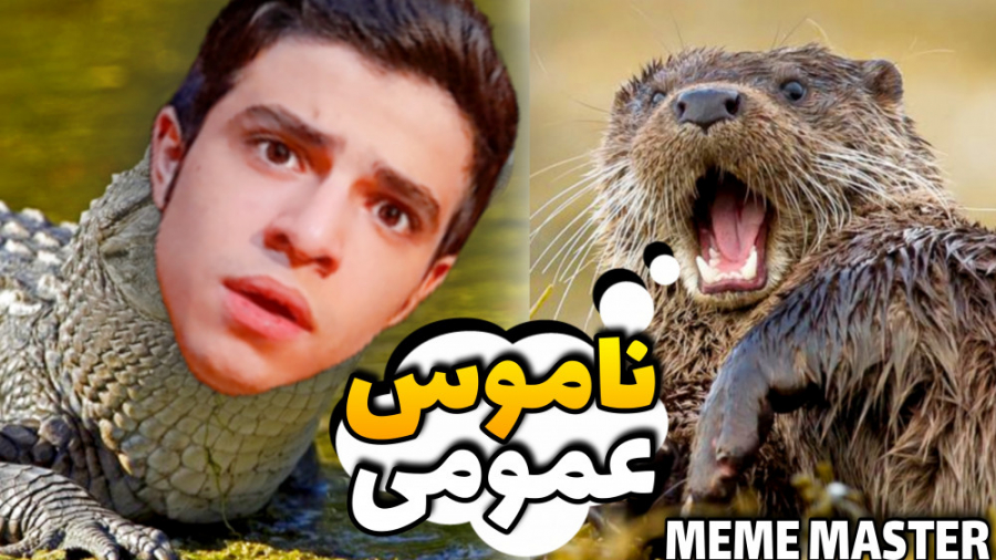 تمساح ناموس عمومی!؟ | میم مستر...
