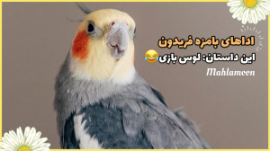 عروس هلندی بامزه و لوس فریدون...