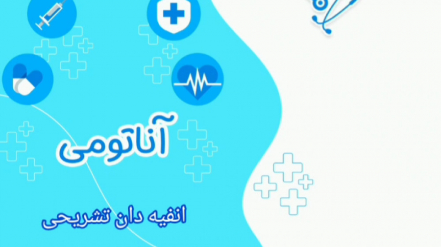 آناتومی اندام فوقانی ۵ (انفیه دان تشریحی)