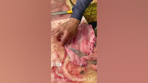 نوش جان