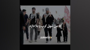 نوحه مقیم کربلا دلتنگ کربلا دل...