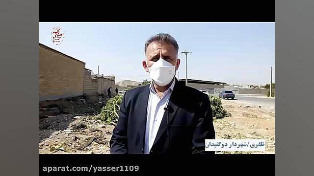 ریشه کنی درختان فضای سبز توسط...