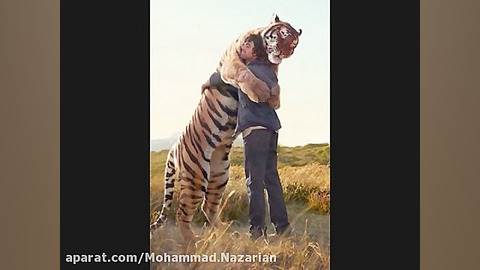 میکس عکس حیوانات