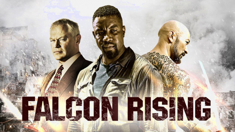 فیلم قدرت شاهین Falcon Rising 2014 زیرنویس فارسی زمان5627ثانیه