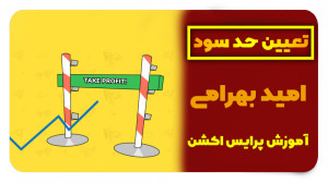 پرایس اکشن حرفه ای ، حداکثر سو...