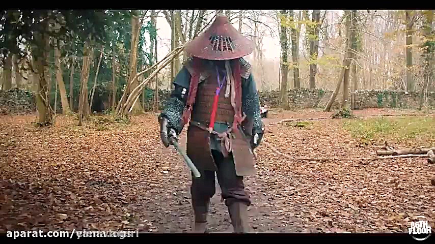 دختر کفشدوزکی و گربه ی سیاه در...