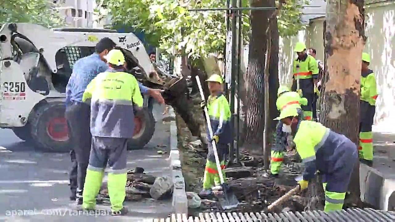 کلیپ حمایت و حفاظت از درختان خ...