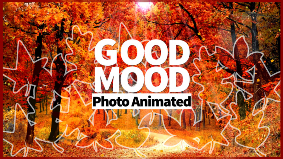 برگ ریزان پاییز با صدای خش خش...