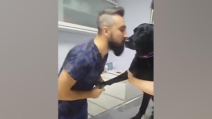 فیلم طنز . فرق آمپول زدن سگ و...