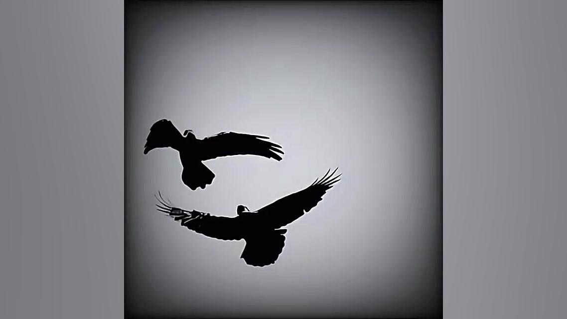 کلیپ محلی .برای وضعیت واتساپ ....