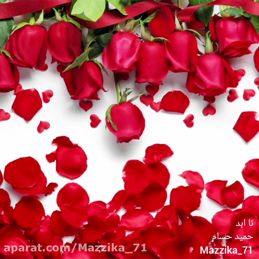 تا ابد از حمید حسام