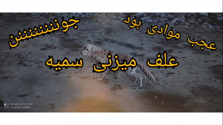 عجب مواد مخدری پیدا کردم با سم...