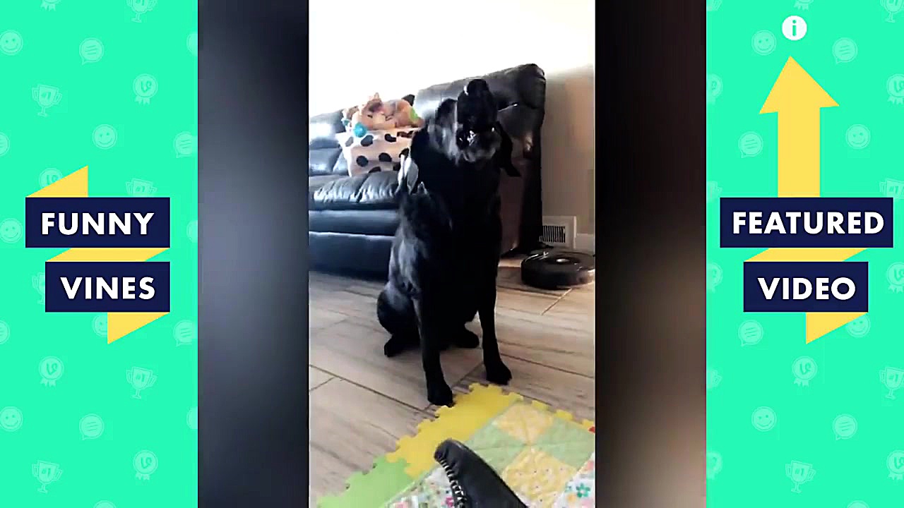 سعی نکنید که بخندید حیوانات خا...