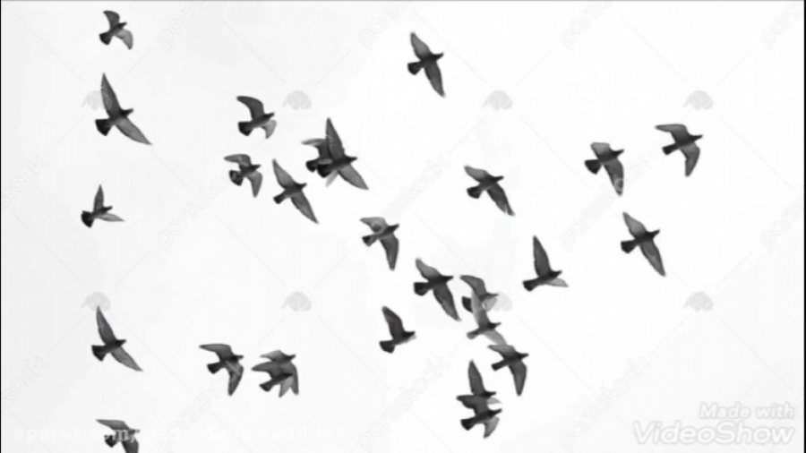 کلیپ تاثیرگذار در مورد خدا منا...