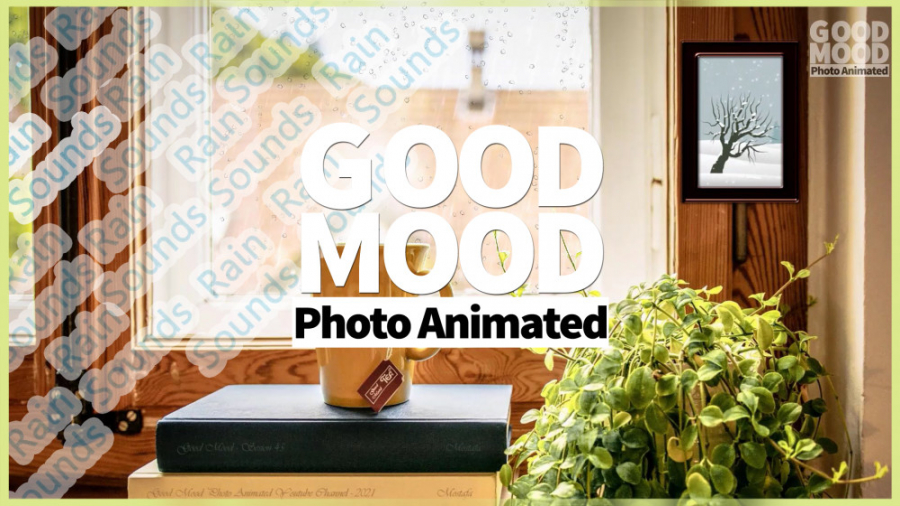 صدای زیبای باران در یک روز پای...