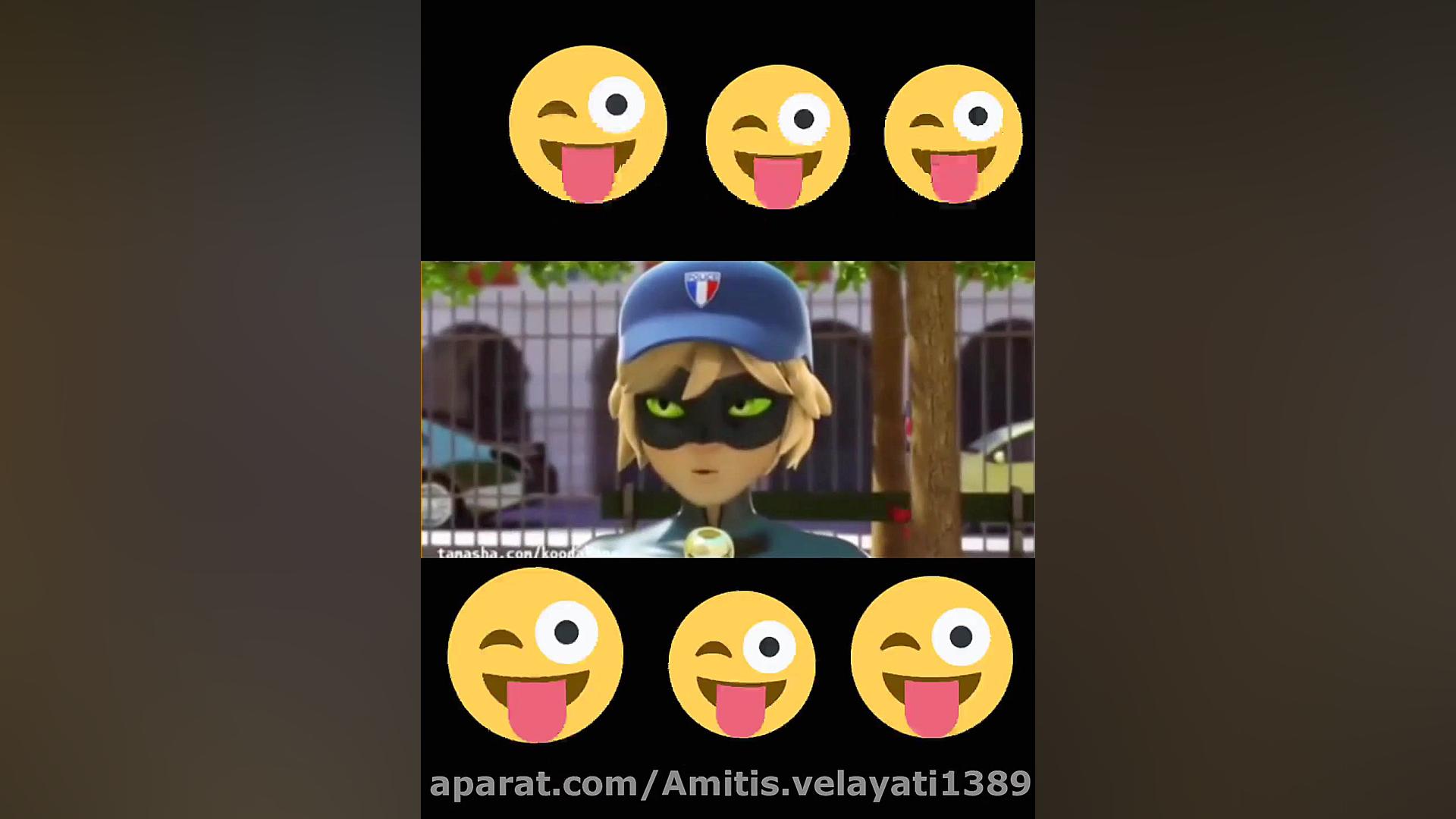 رقص گربه ی سیاه