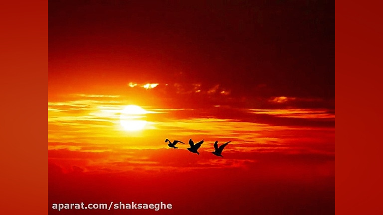 اهنگی برای کاهش استرس