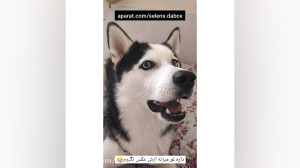 استوری جدید سلنا جون