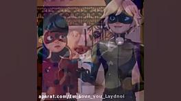 گربه سیاه و کفشدوزک