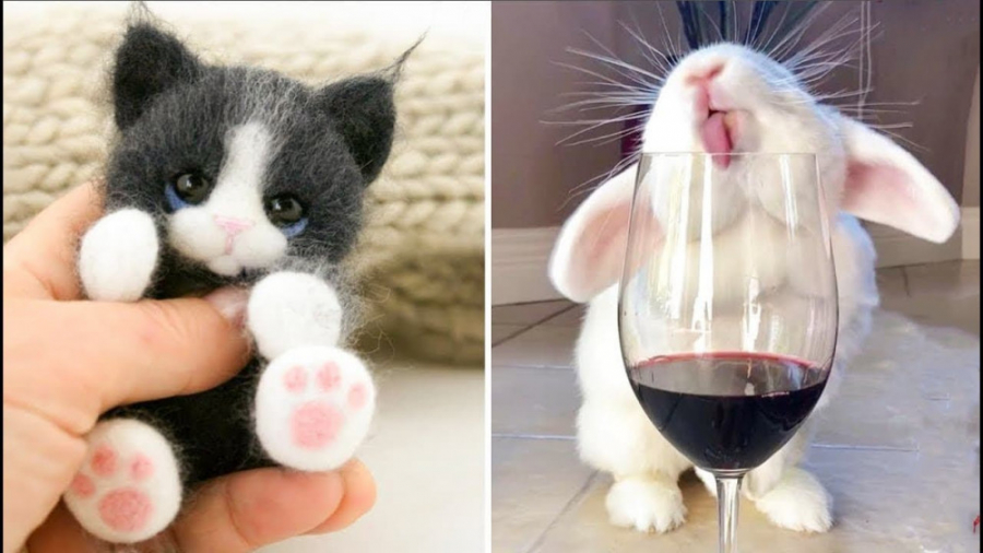 بچه حیوانات سوپر بامزه و خنده...