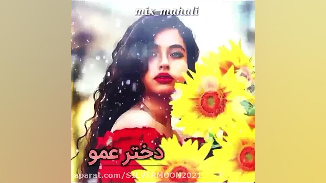 کبوتر بچه ای واست خریدم دختر ع...