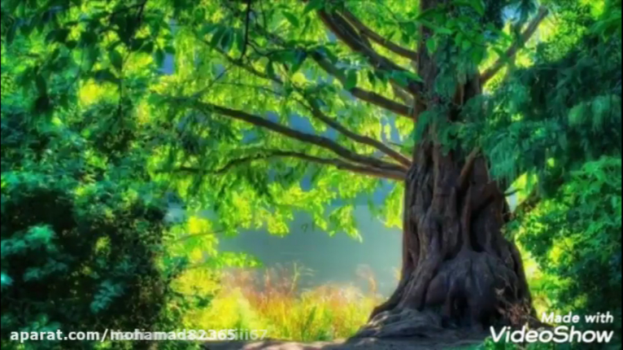 هفته دفاع مقدس به مناسبت هفته...