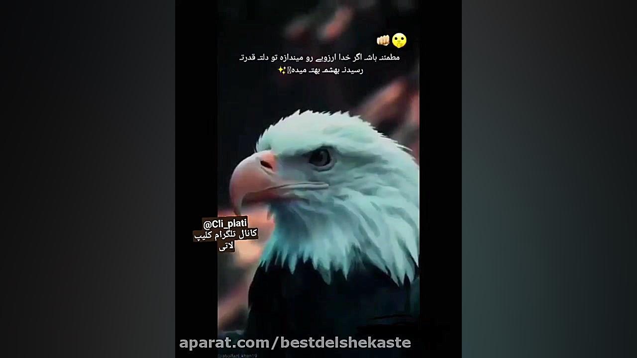 کلیپ انگیزشی | بجنگ برای هدف ه...