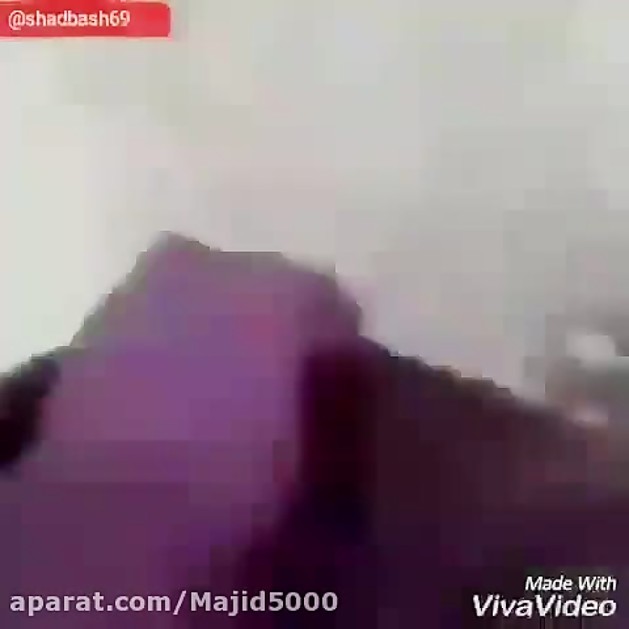 جفتکهای زدن های تاریخی حیوانات...