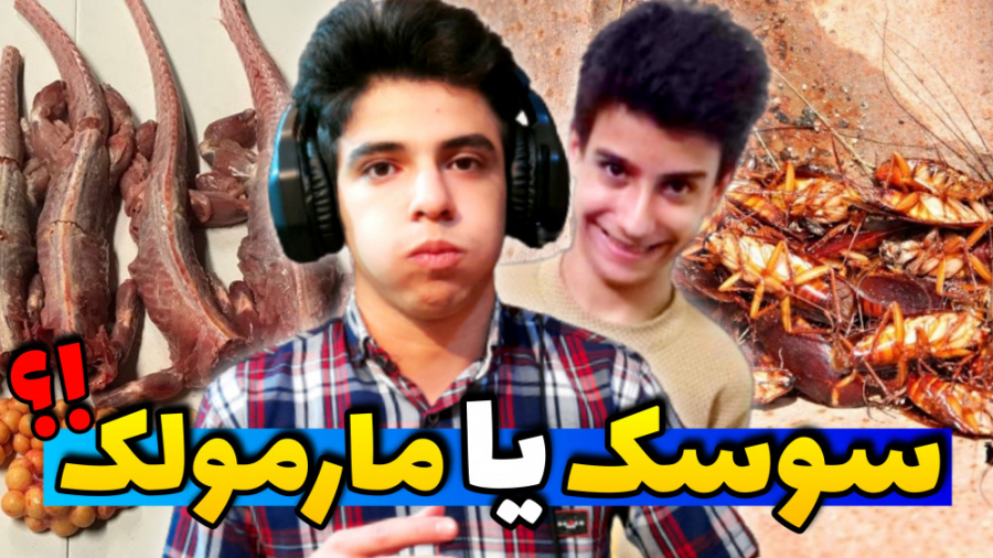 سوسک بخورم یا مارمولک!؟ صندلی...