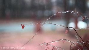 هشت ساعت صدای باران زمستانی به...