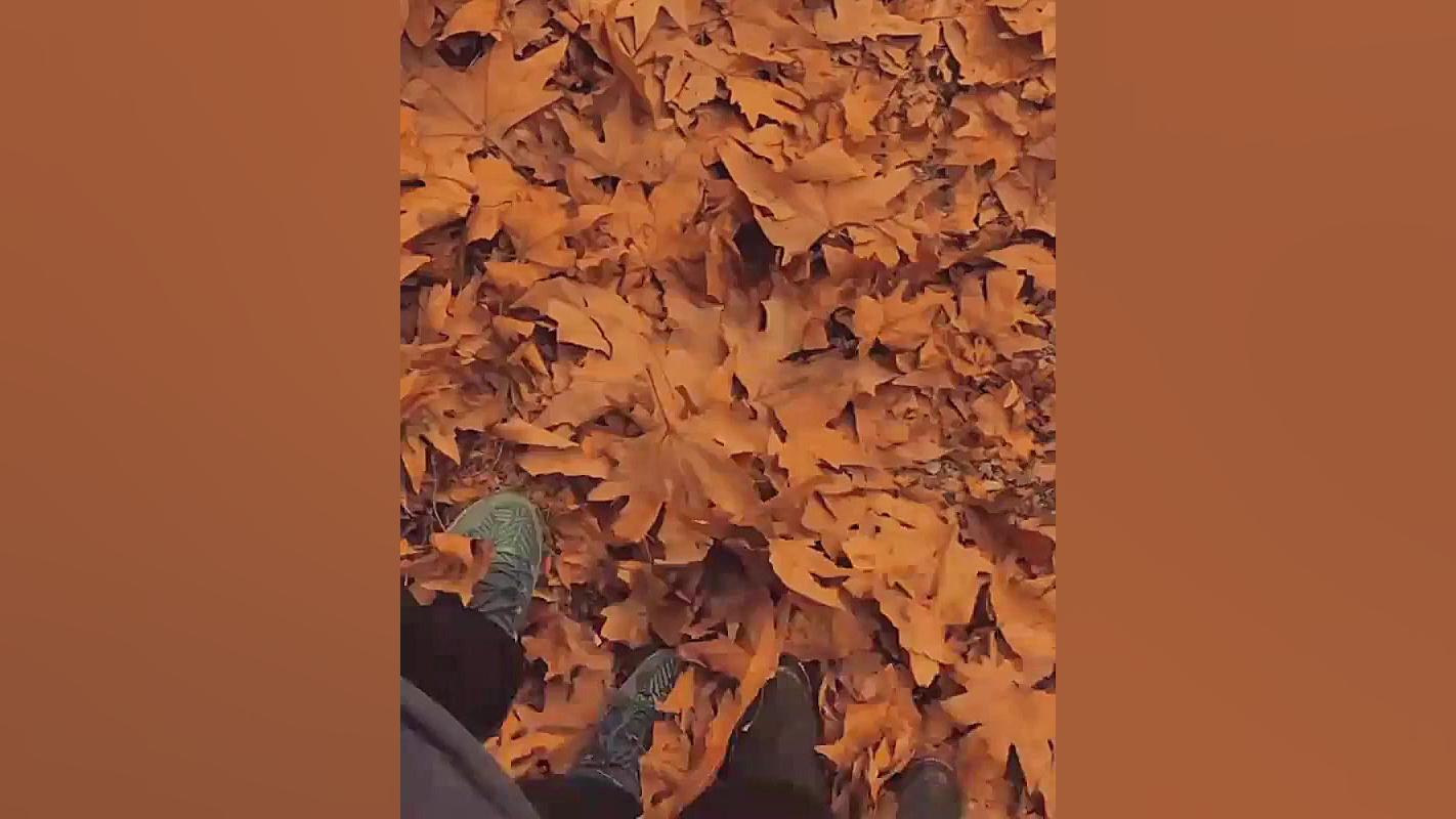 کلیپ دختر پاییز .برای استوری ....