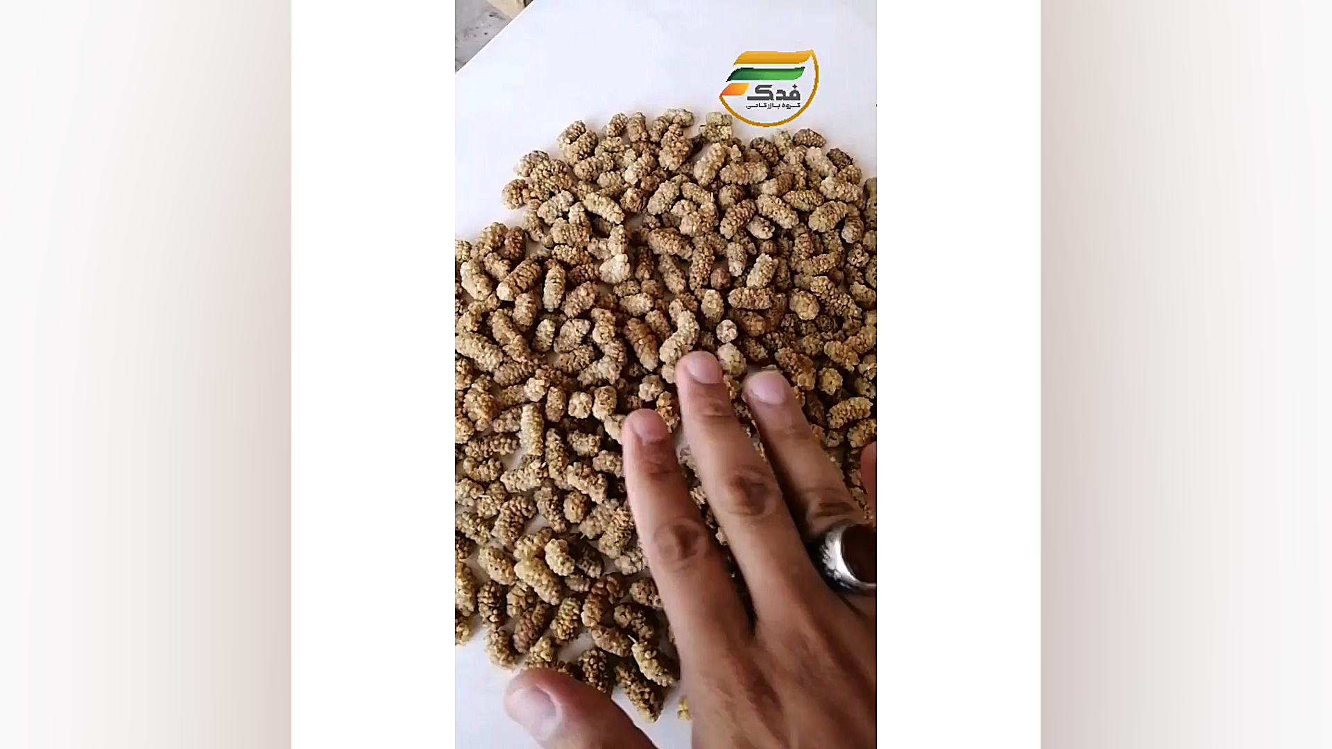 توت درجه یک مشهد