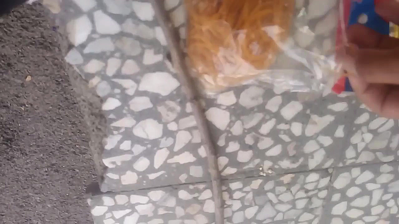 ساخت تله کفتر