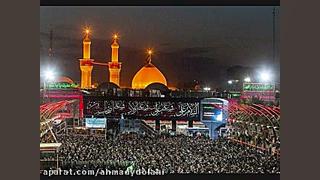 چهل روزه، که دارم میمیرم برات...