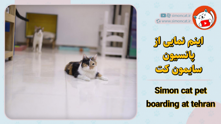 اینم نمایی از پانسیون سایمون ک...