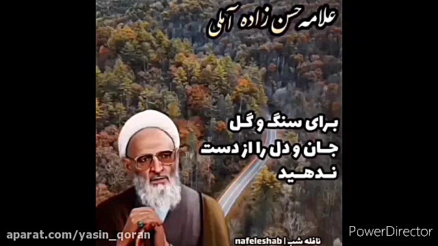 انسانیت یا دینداری  ۱۵