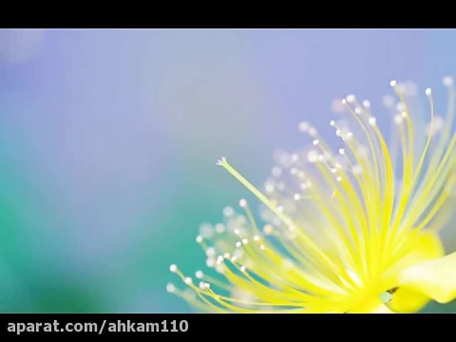 آب کر در چه صورت نجس می شود؟