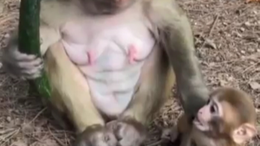 مادر نمونه هههه