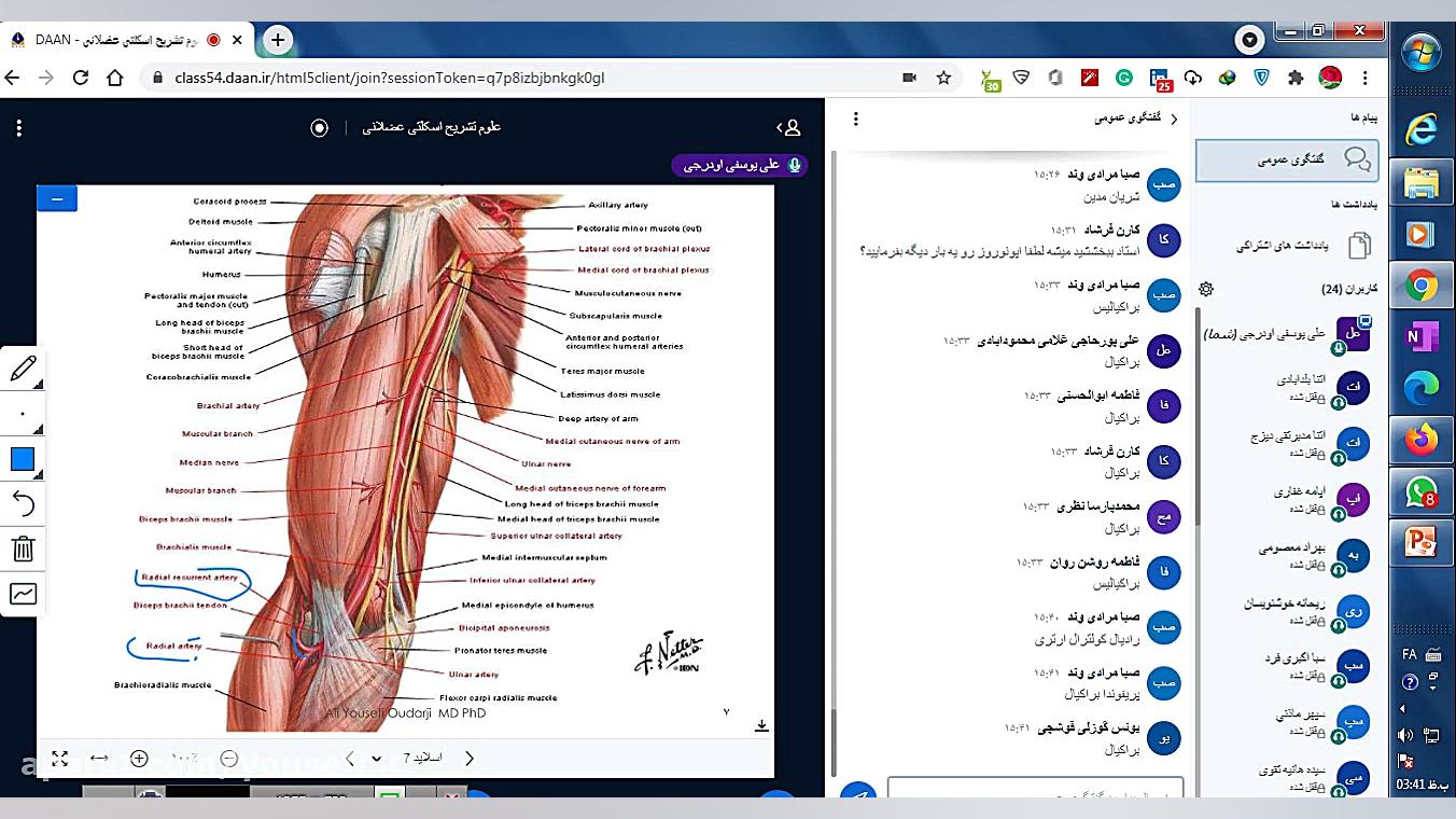 14 آناتومی ناحیه ای بازو ،اسکل...