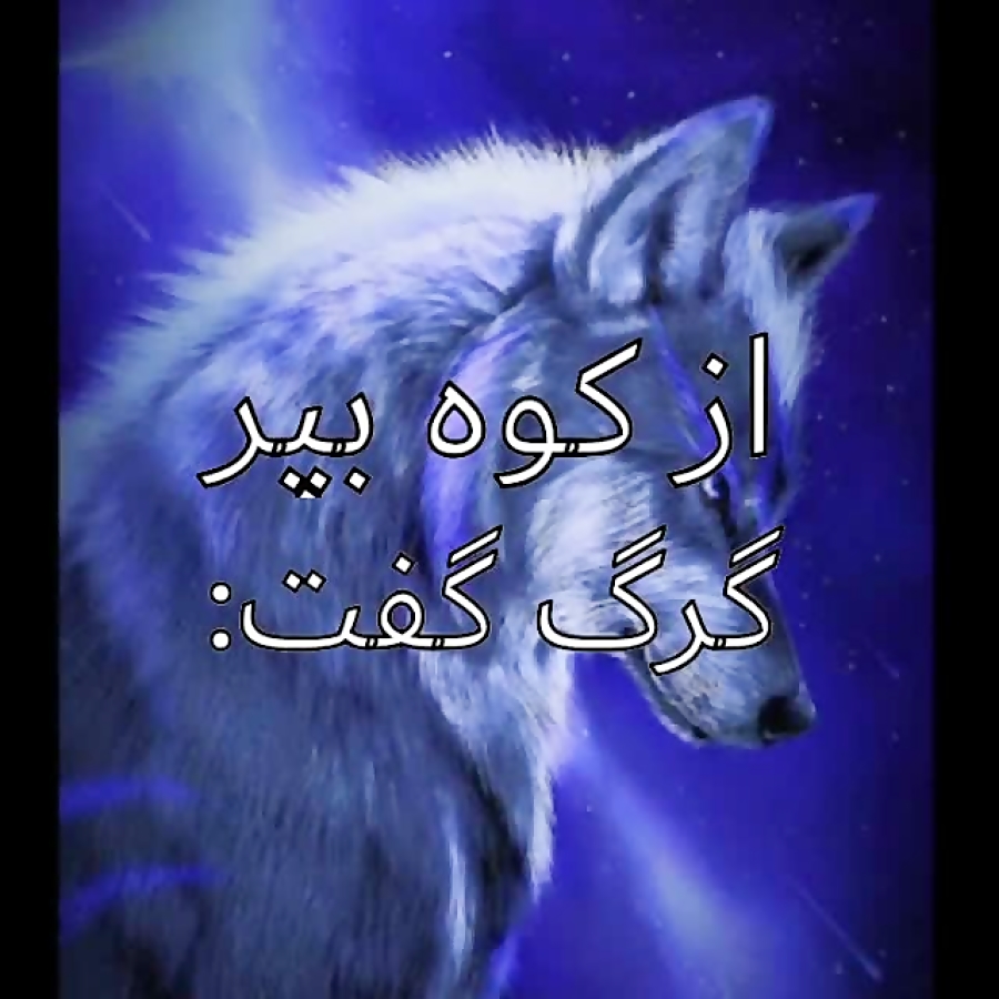 گرگ و روباه