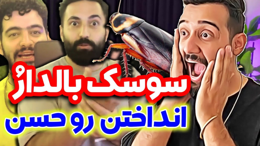 سوسک بالدار انداختن رو حسن کلی...
