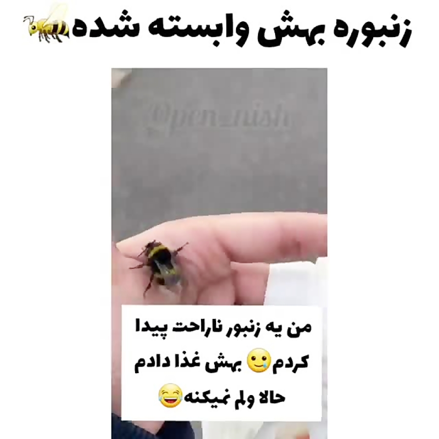 لایک و دنبال فراموش نشه ️