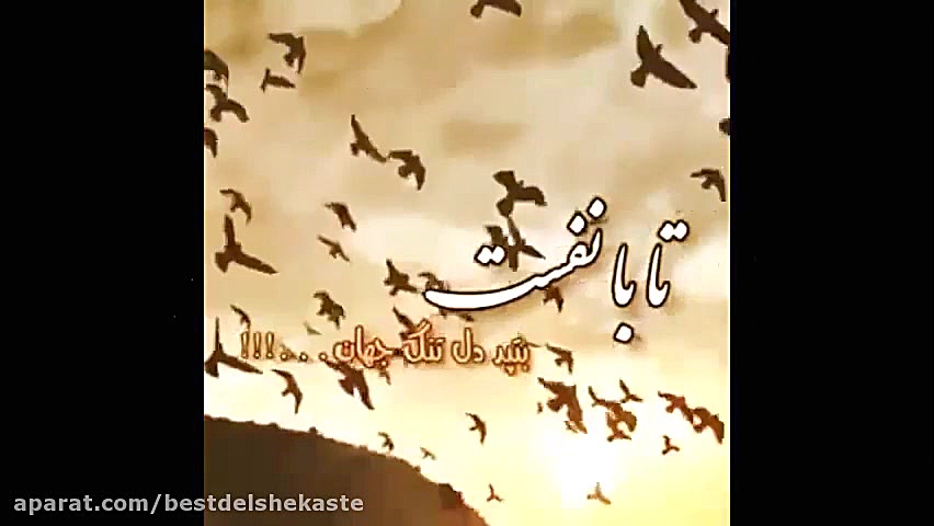 کلیپ عاشقانه دلتنگی  دلتنگ تو...