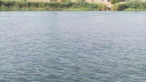 آهنگ ساقی بیا که عشق ندا میکند...