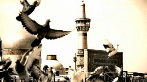 کلیپ تسلیت شهادت امام رضا علیه...
